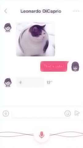 ddos攻击ip软件下载软件程序维护界面